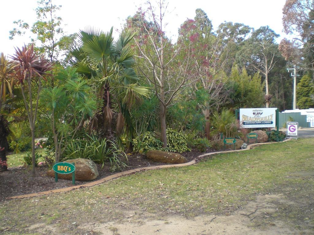 Mallacoota'S Shady Gully Caravan Park Eksteriør billede